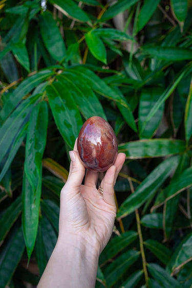 Petrified Wood Egg